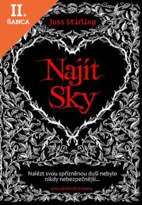 Lacná kniha Najít Sky
