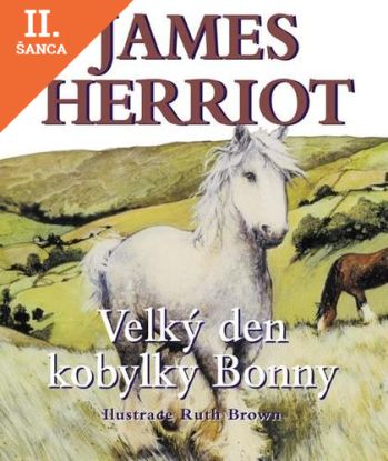 Lacná kniha Velký den kobylky Bonny