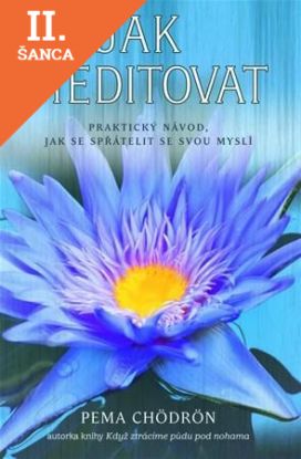 Lacná kniha Jak meditovat