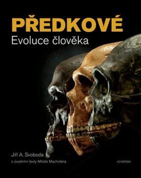 Předkové Evoluce člověka