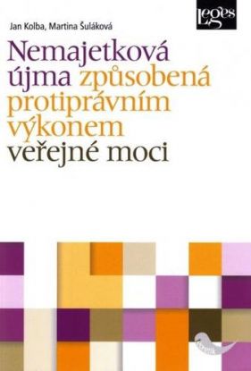 Nemajetková újma způsobená protiprávním výkonem veřejné moci