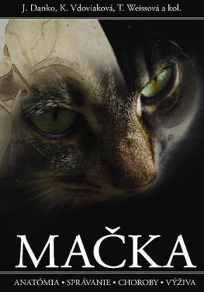 Mačka