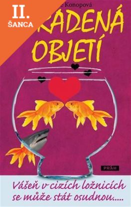 Lacná kniha Ukradená objetí