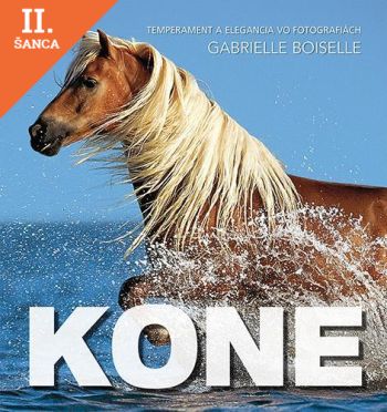 Lacná kniha Kone