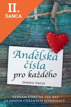 Lacná kniha Andělská čísla pro každého