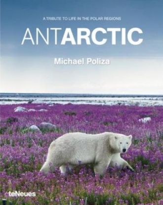 AntArtic