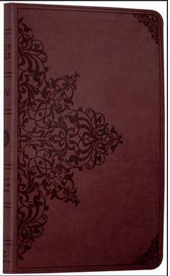 Holy Bible