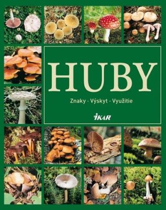 Huby