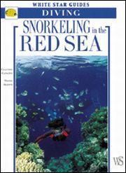 Diving: snorkelling in the red sea