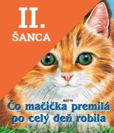 Lacná kniha Čo mačička premilá po celý deň robila