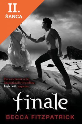 Lacná kniha Finale