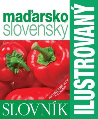 Ilustrovaný slovník maďarsko-slovenský