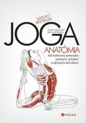 JÓGA - anatómia