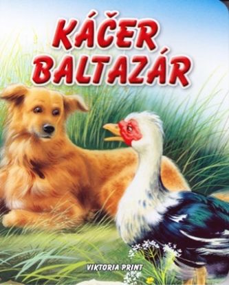 Káčer Baltazár - leporelo