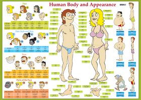 Karta Human Body and Appearance - AJ