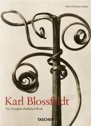 Karl Blossfeldt