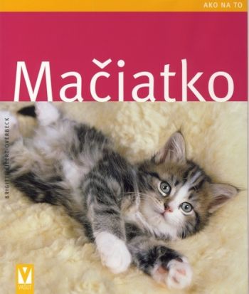 Mačiatko ako na to