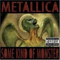 Metallica - Some Kind Of Monster  CD
