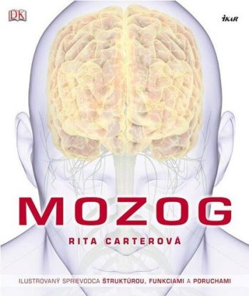 Mozog (Brain)