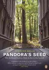 Pandora`s Seed