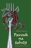 Pavúk na šalvěji