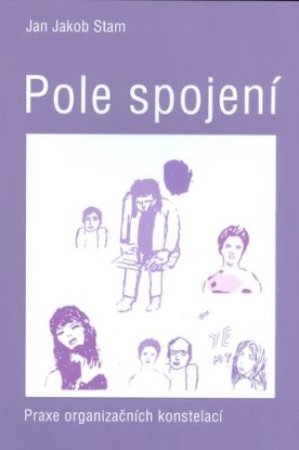 Pole spojení - Praxe organizačních konstelací