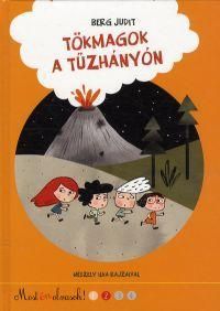 Tökmagok a tűzhányón