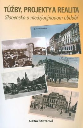 Túžby, projekty a realita