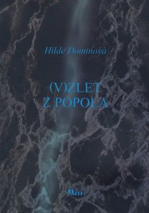 Vzlet z popola