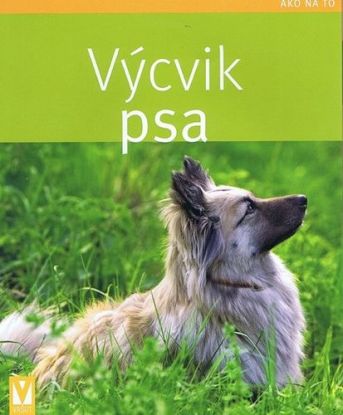 Výcvik psa - Ako na to