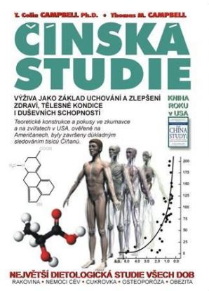 Čínská studie