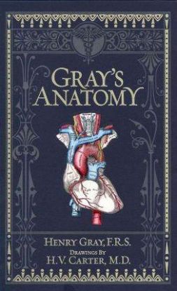Gray's Anatomy
