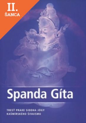 Lacná kniha Spanda gíta
