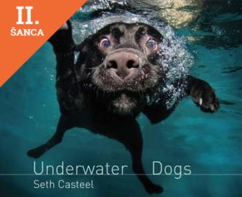 Lacná kniha Underwater Dogs