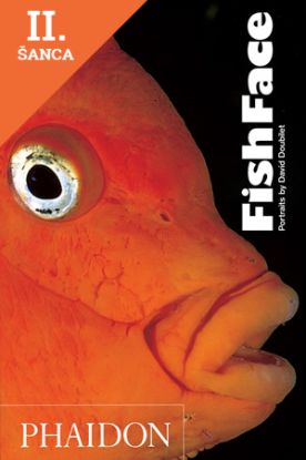 Lacná kniha Fish Face Phaidon