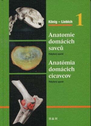 Anatomie domácich savců 1+2