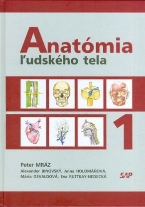 Anatómia ľudského tela 1