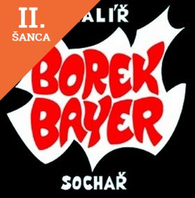 Lacná kniha Borek Bayer - malíř, sochař