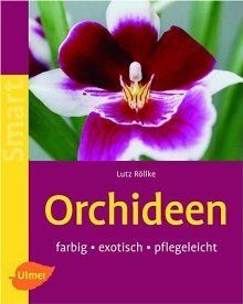 Orchideen : farbig - exotisch - pflegeleicht