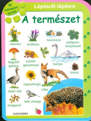 Lépésről lépésre: A természet 36 hónapos kortól