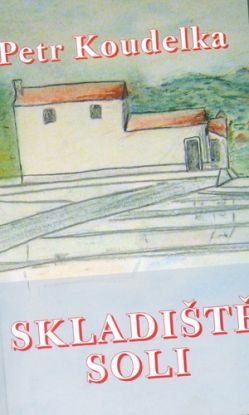 Skladište soli