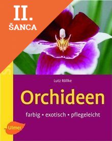 Lacná kniha Orchideen : farbig - exotisch - pflegeleicht