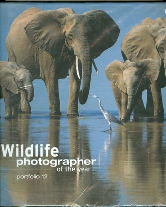 Wildlife photographer of the year