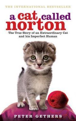 A cat called norton