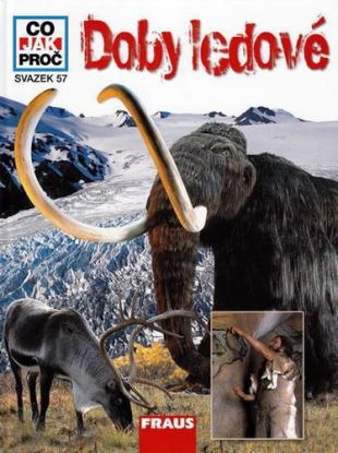 Doby ledové-Co jak proč