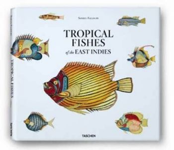 Tropical Fishes of the East Indies