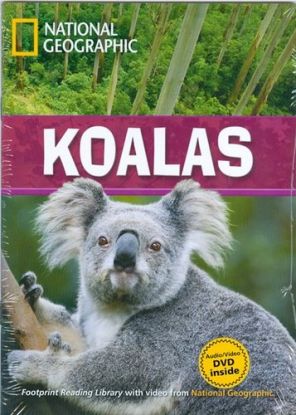 Koalas + DVD