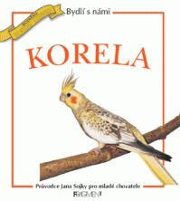 Bydli s nami korela
