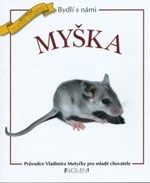 Bydlí s námi myška