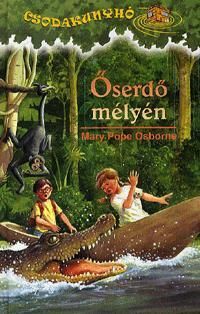 Őserdő mélyén Csodakunyhó 6.